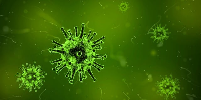 Historia zapomnianych epidemii: Jak plagi kształtowały społeczeństwa - 3 2025